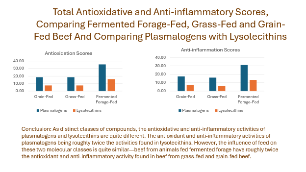 AntiInflammatory Scores